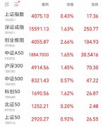 创业板指收涨2.66% CPO概念掀涨停潮